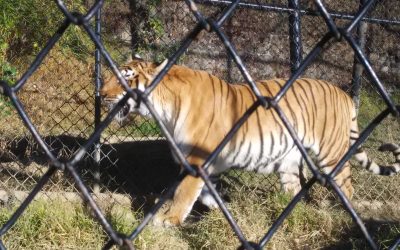 IMG_20151227_151432 IMG_20151227_151432