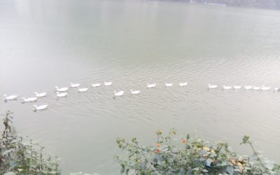 IMG_20161002_165904 IMG_20161002_165904