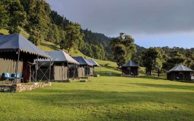chopta-camping-914x540